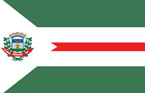Bandeira de Rio Verde