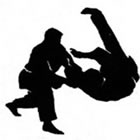 Hapkido em Rio Verde